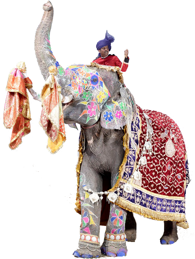Decorated Festival Elephantand Rider.png PNG