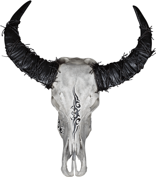 Decorated Goat Skullwith Horns PNG