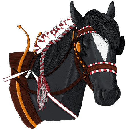 Decorated Horse Portrait PNG