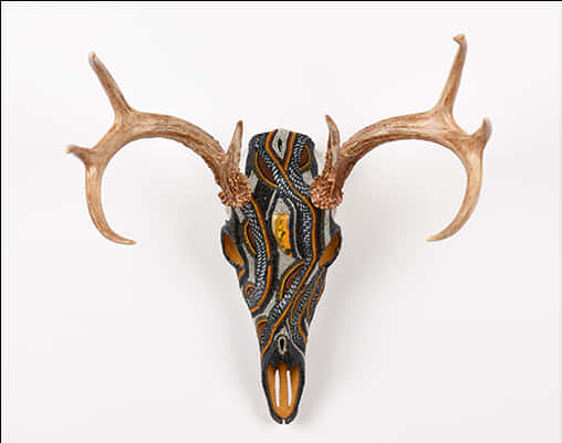 Decorative Deer Skullwith Antlers PNG