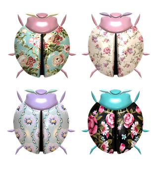 Decorative Floral Ladybug Designs PNG