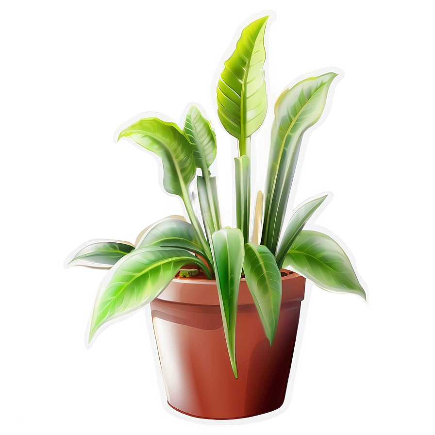 Download Decorative Indoor Plant Png 34 | Wallpapers.com