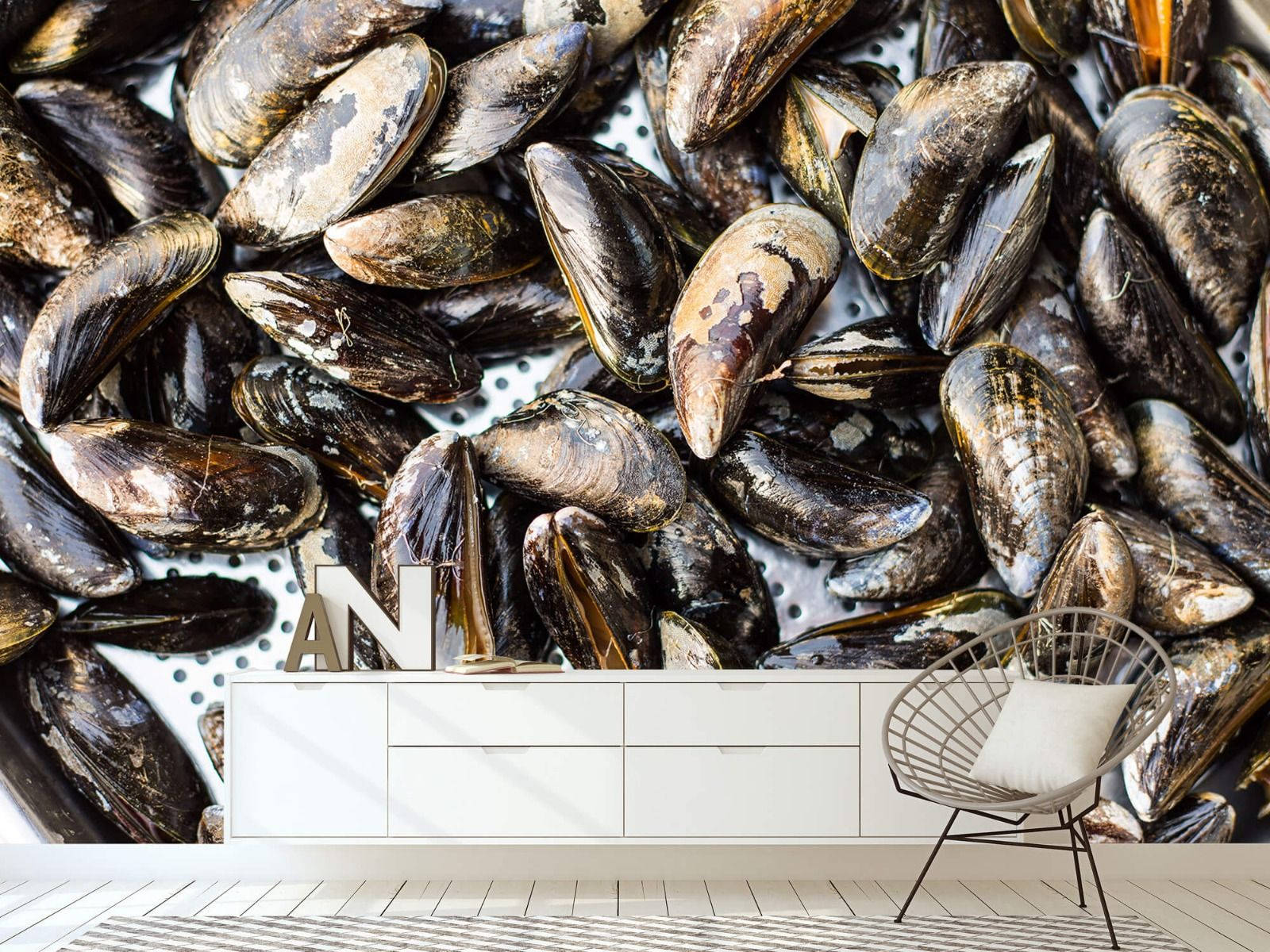 Decorative Mussel Shells Wall Design Wallpaper