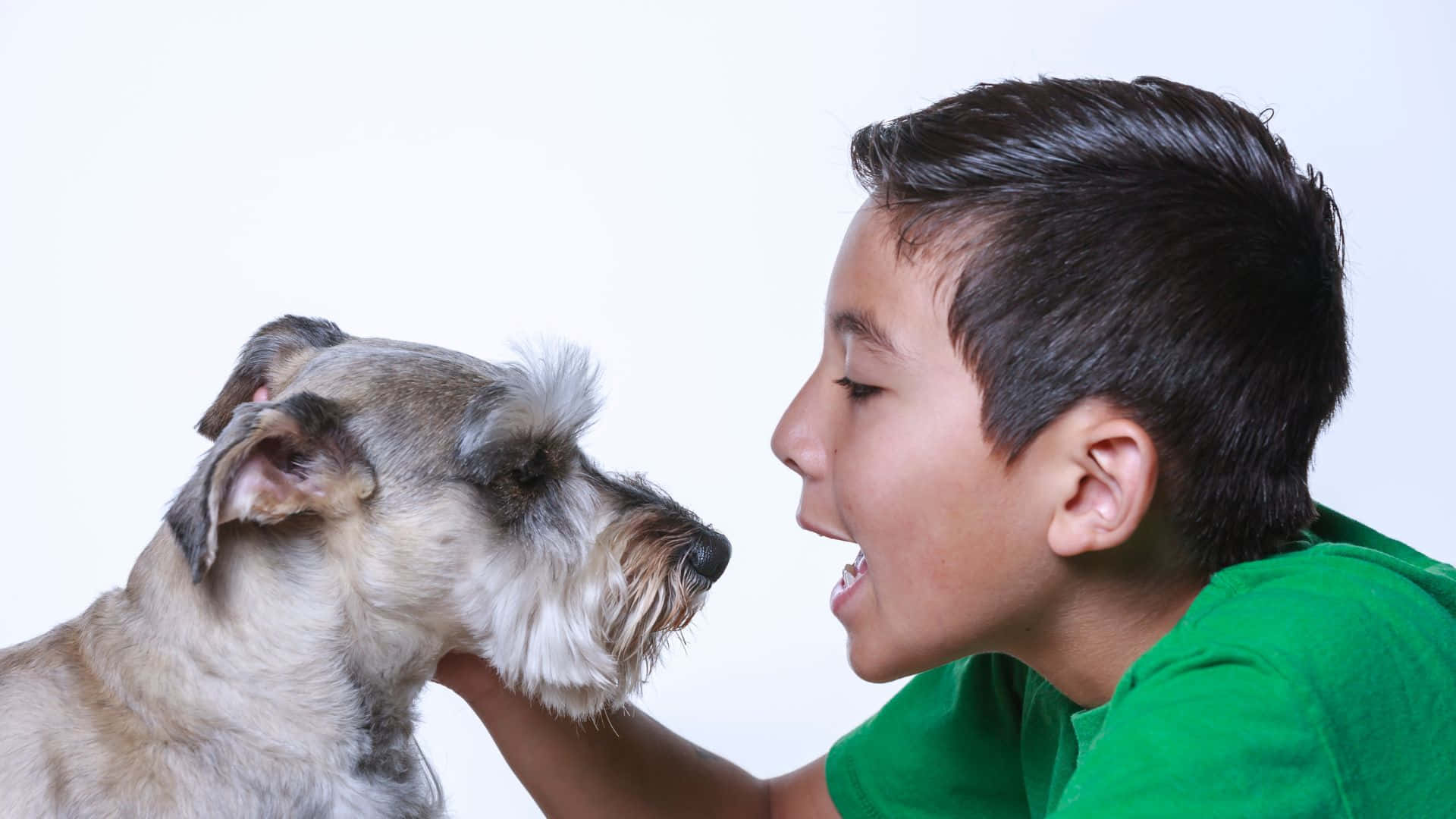 Deep Connection Between A Human And His Loyal Dog Wallpaper