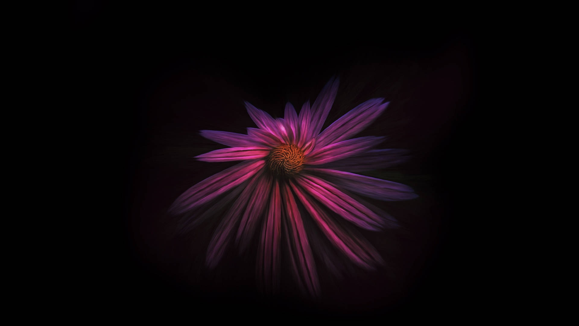 Deep Dark Hd Flowers Desktop Wallpaper