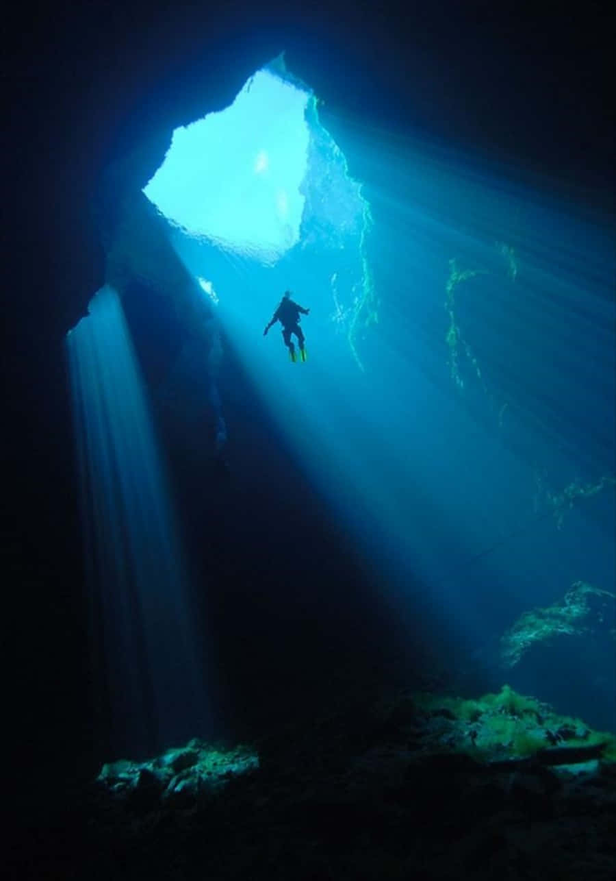 Explore the Depths of Life