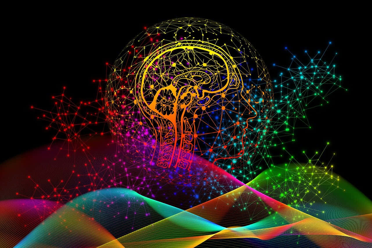 Deep Psychological Meaning Of A Colorful Brain Wallpaper