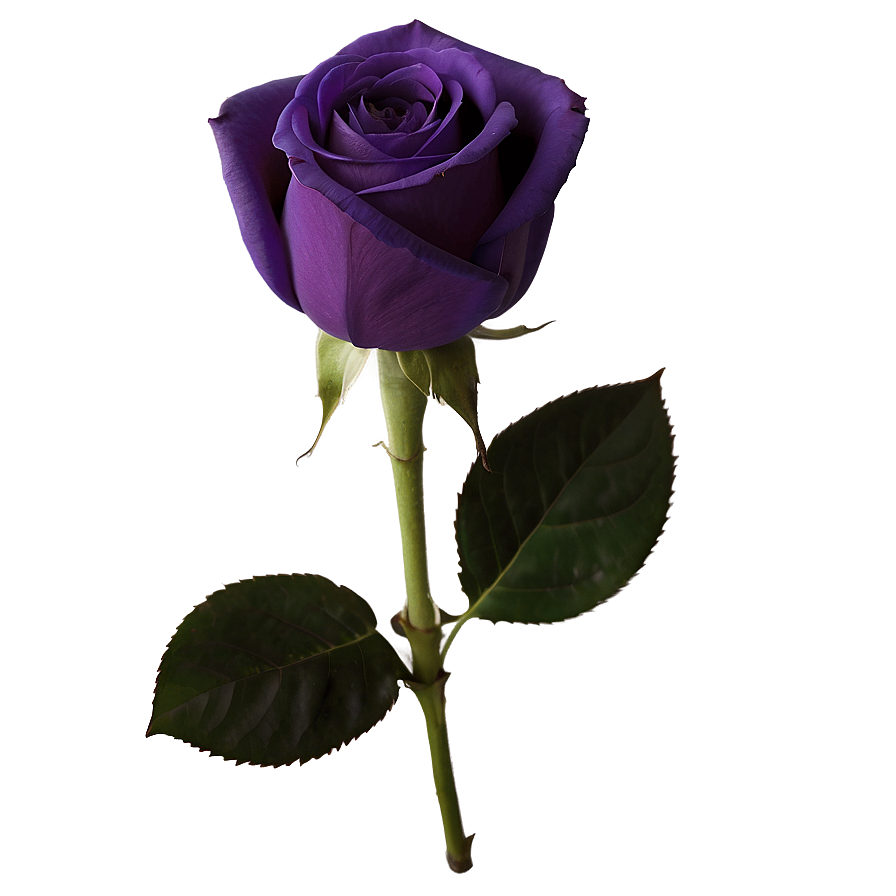 Deep Purple Rose Png Bny28 PNG