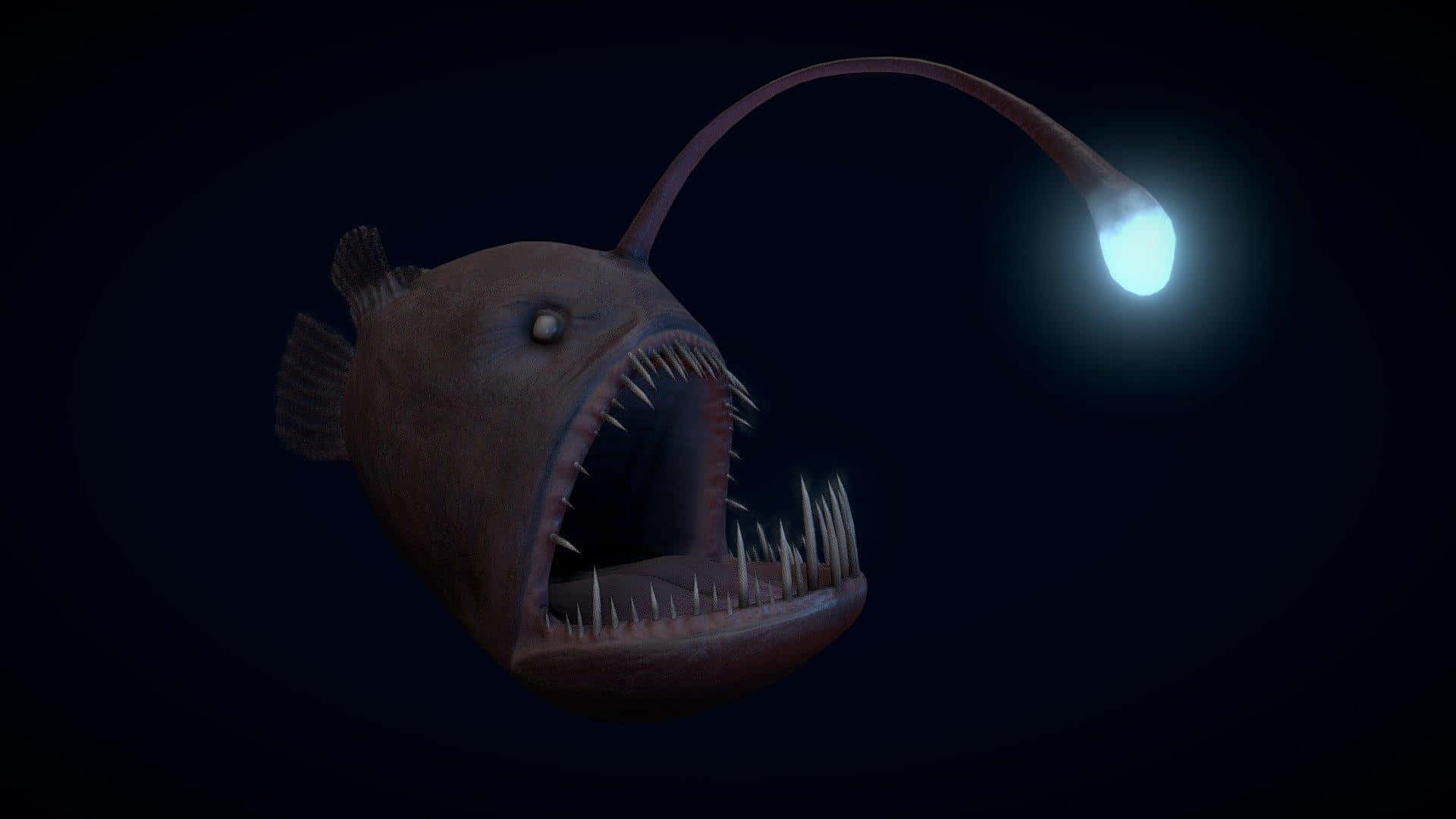 Diepzee Anglerfish Verlichting.jpg Achtergrond