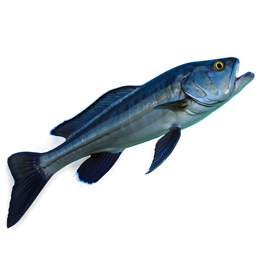 Deep Sea Fishing Adventures Png 40 PNG