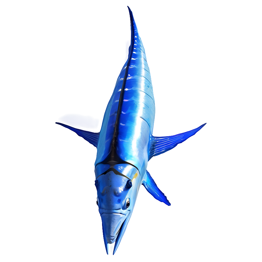 Deep Sea Marlin Png Tgm PNG