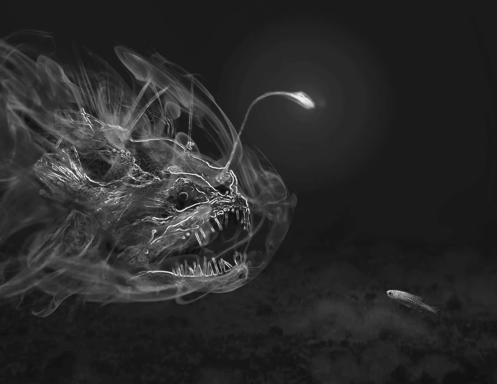 Deep Sea Predator Anglerfish.jpg Wallpaper