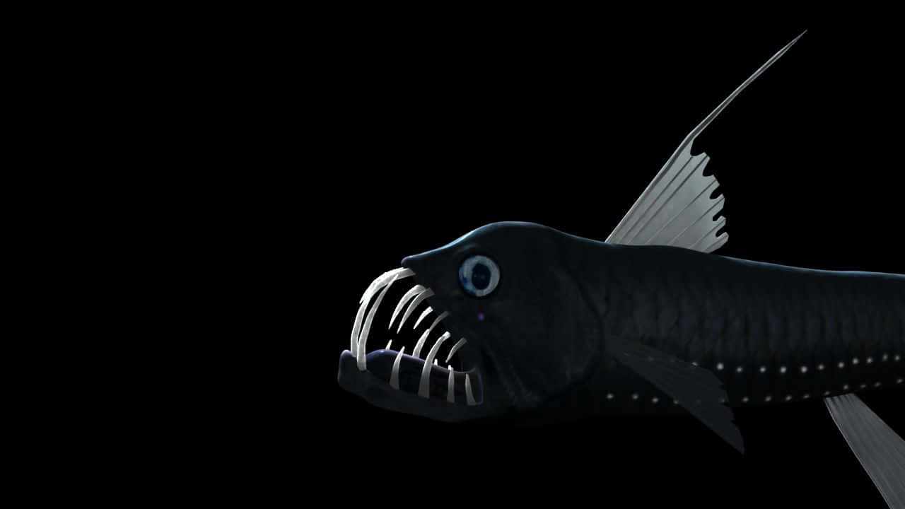 Deep Sea Viperfishin Darkness Wallpaper