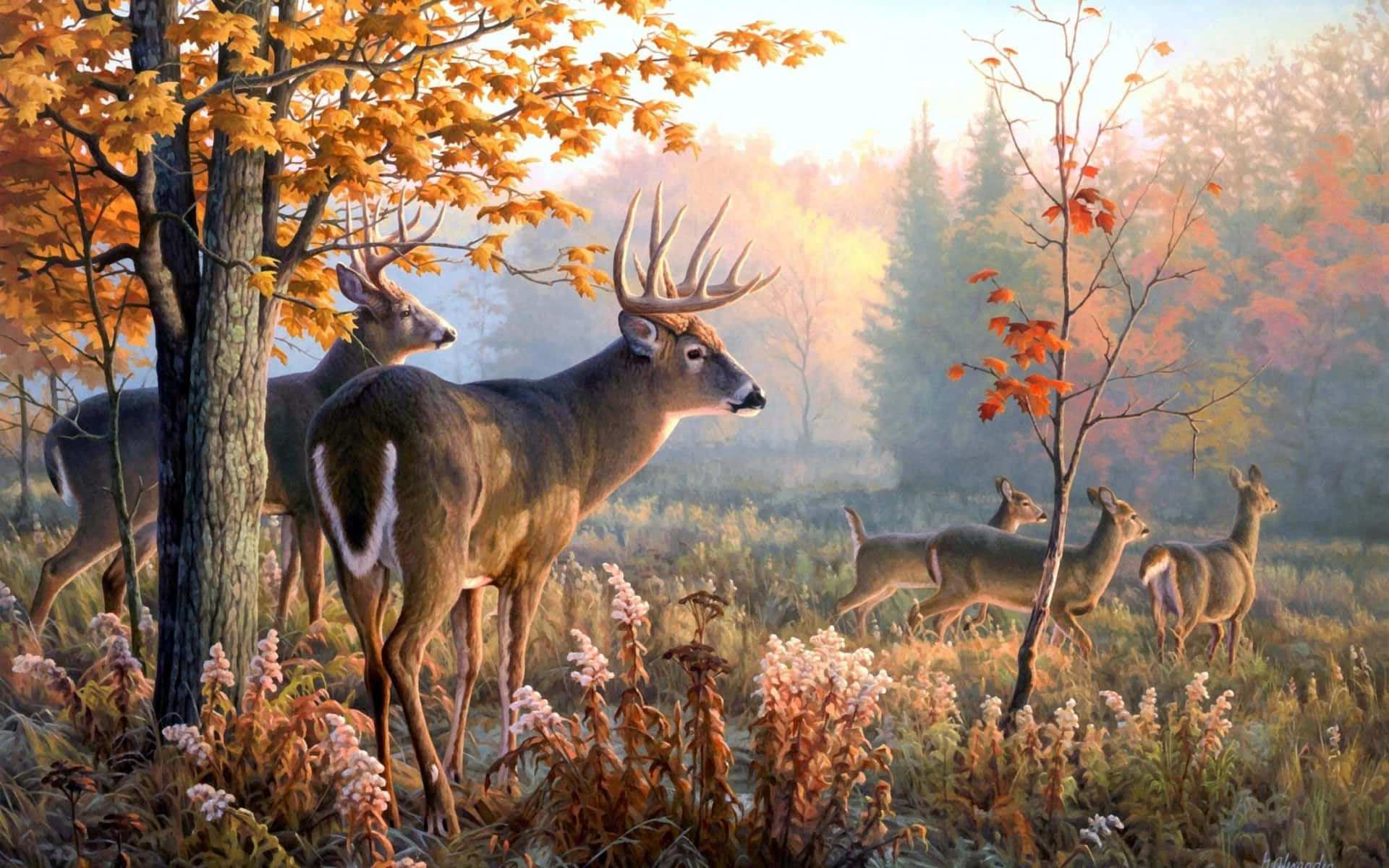 A Majestic and Refined Deer Grazing in the Field Wallpaper