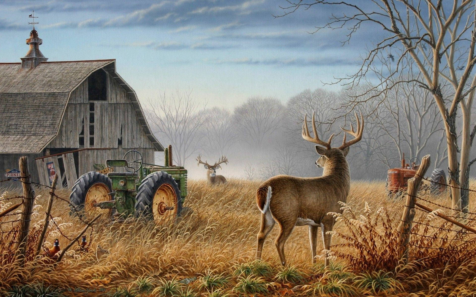 Deer Hunting Barn Beside Stag Wallpaper