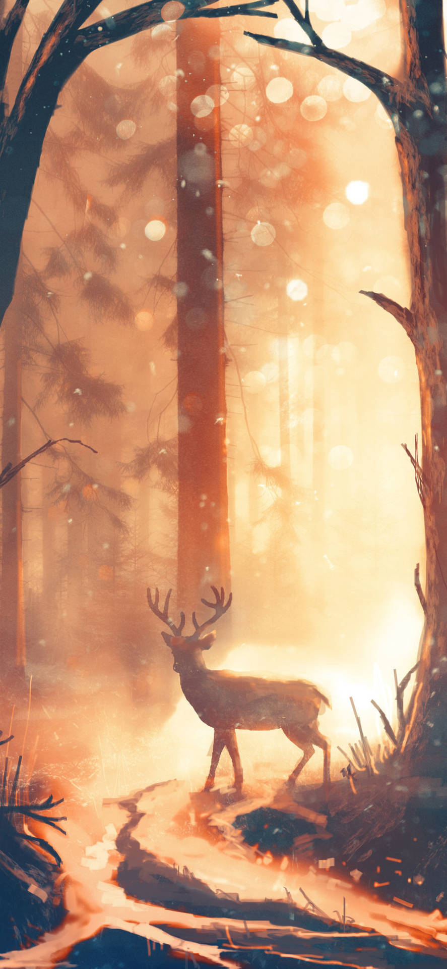A Deer Walking Through The Forest At Sunset Wallpaper