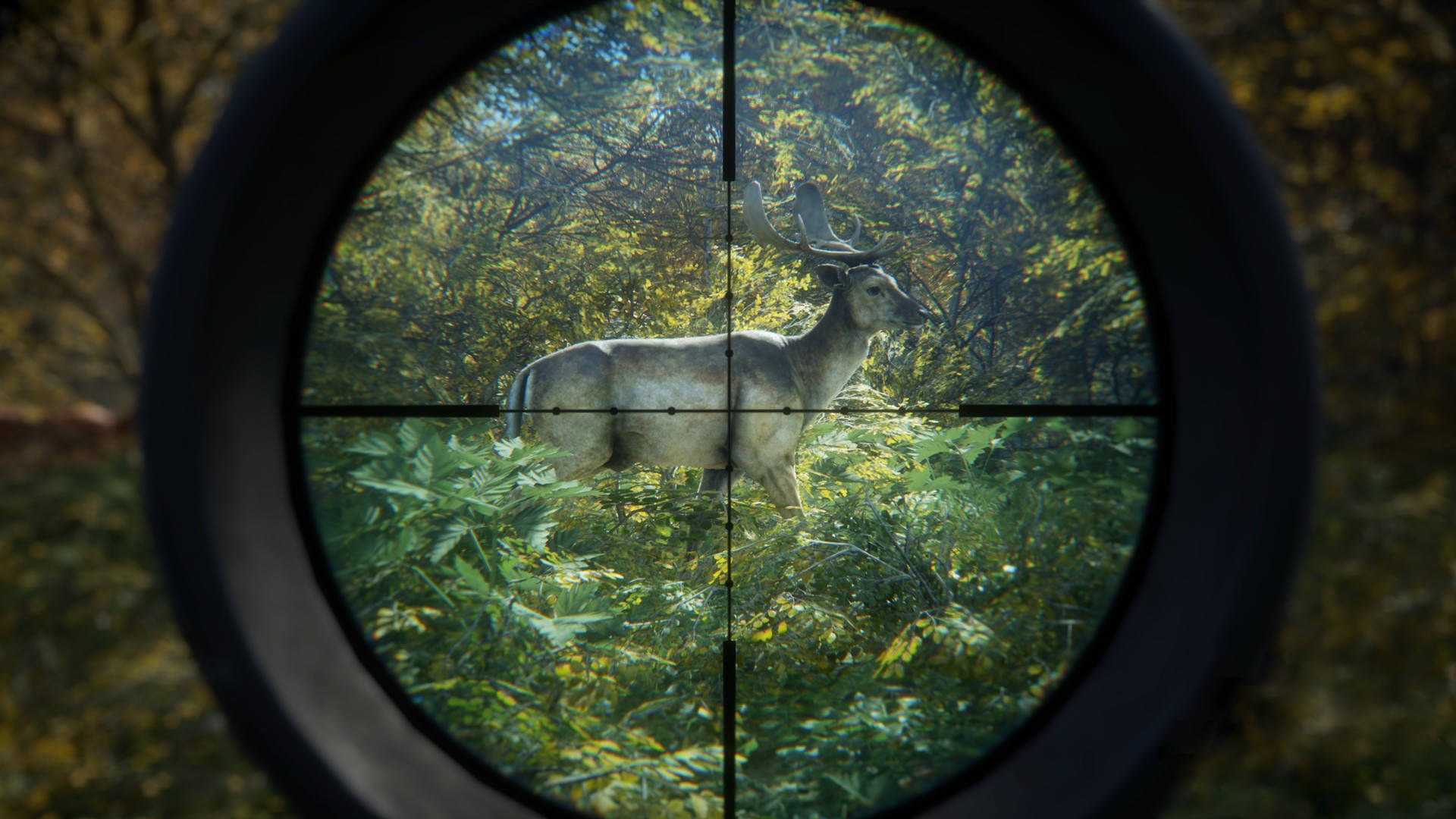 Deer Target Hunting