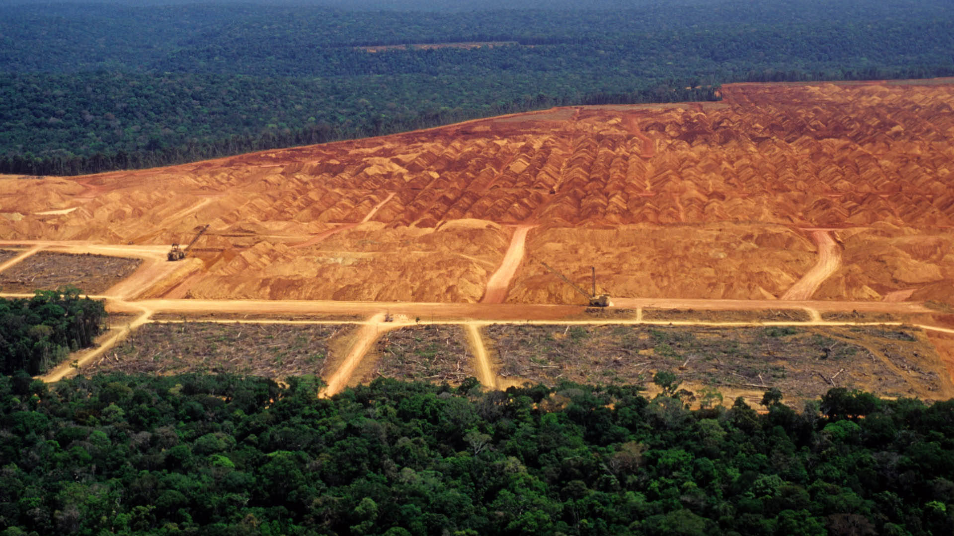 Avskogningstorgeti Amazonas. Wallpaper