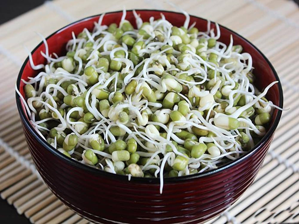 Dehydrated Mung Bean Sprouts Vegetable Background