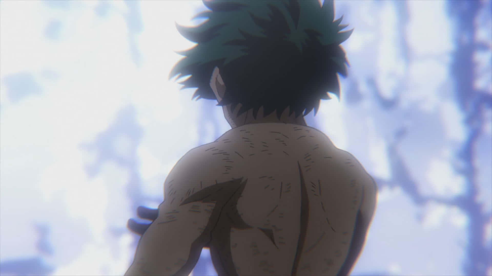 Cicatrices De Dos De Deku My Hero Academia Fond d'écran