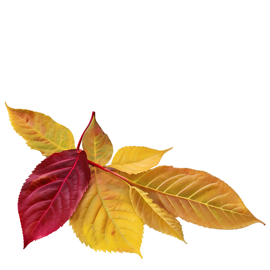 Delaware Autumn Leaves Png Ifx86 PNG