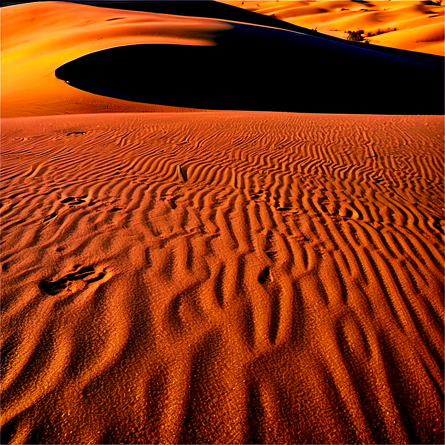 Delaware Sand Dunes Png Qbu PNG