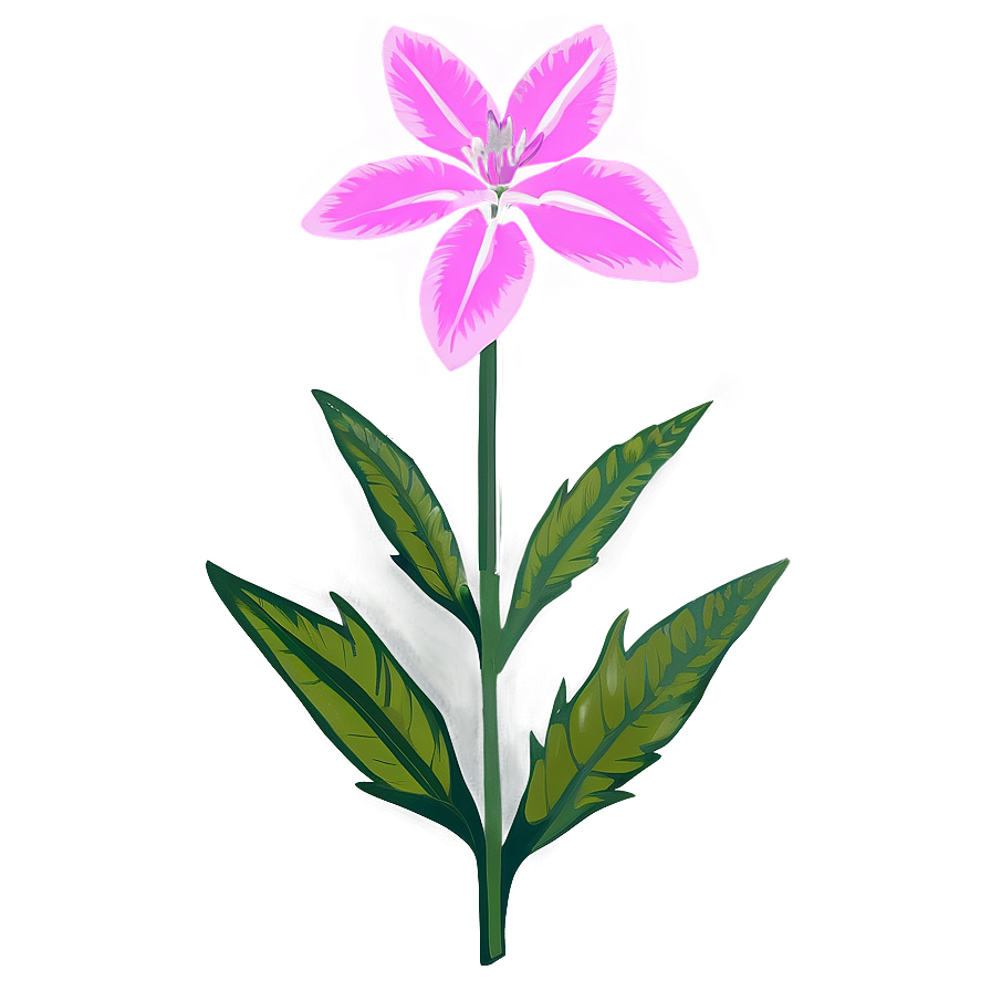 Delaware State Flower Png 87 PNG