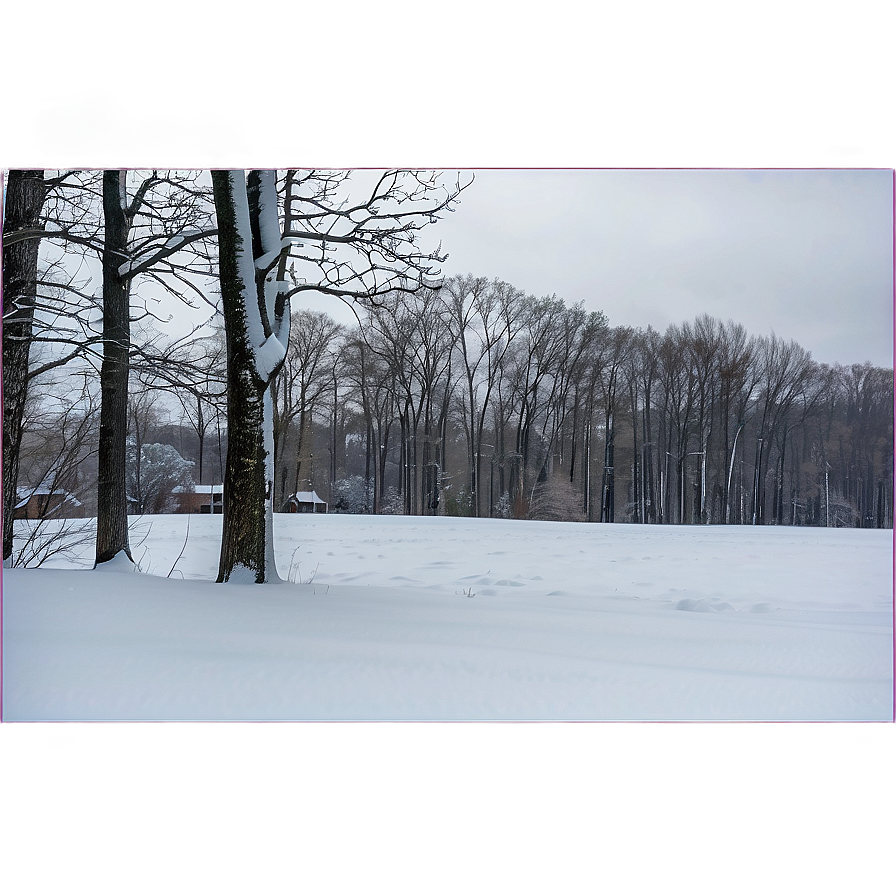 Delaware Winter Snowscape Png 26 PNG