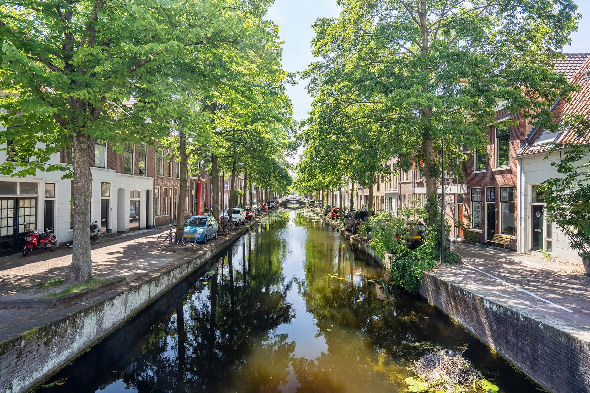 Delft Kanaal Boomrijke Straat Zomer Achtergrond