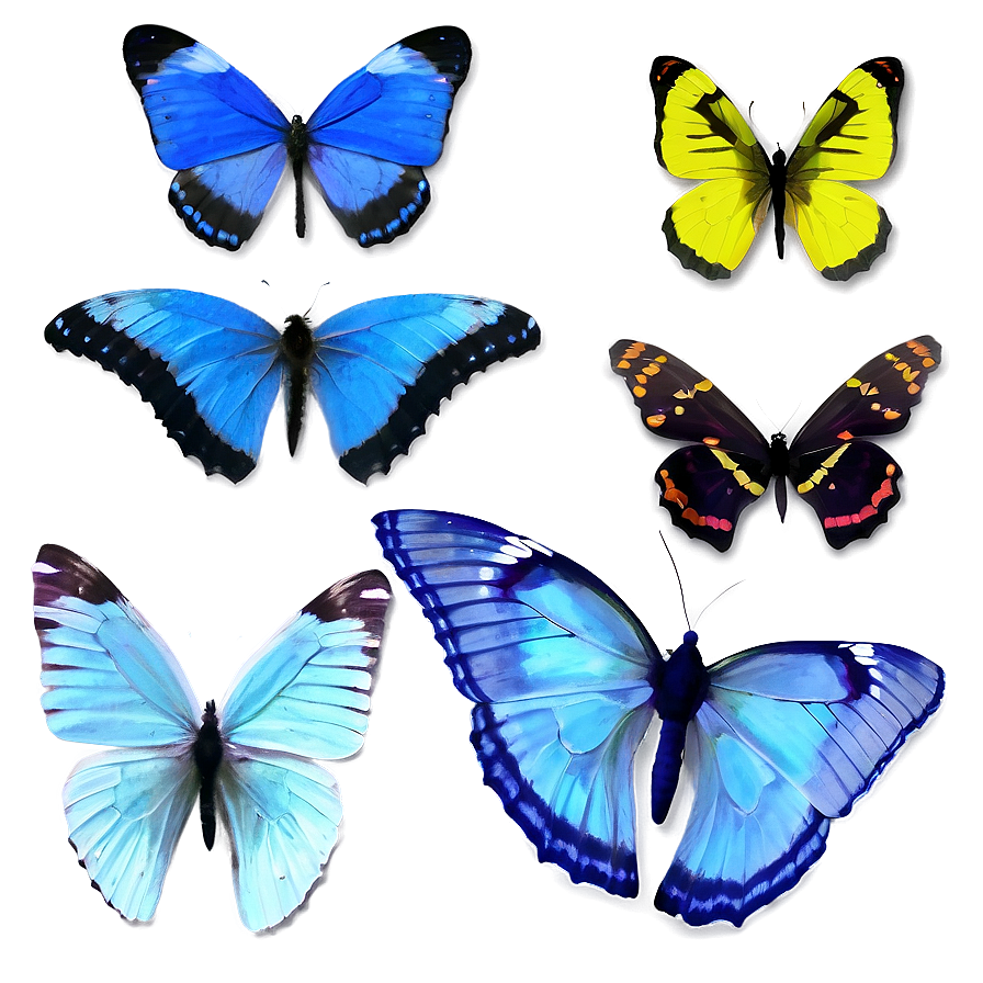 Delicate Blue Butterflies Png Ccl PNG