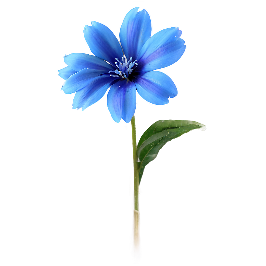 Delicate Blue Flower Png 05242024 PNG