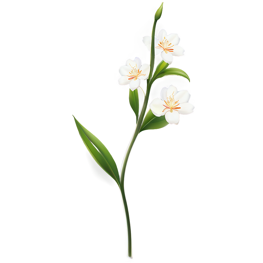 Delicate Flower Stem Png Oov PNG