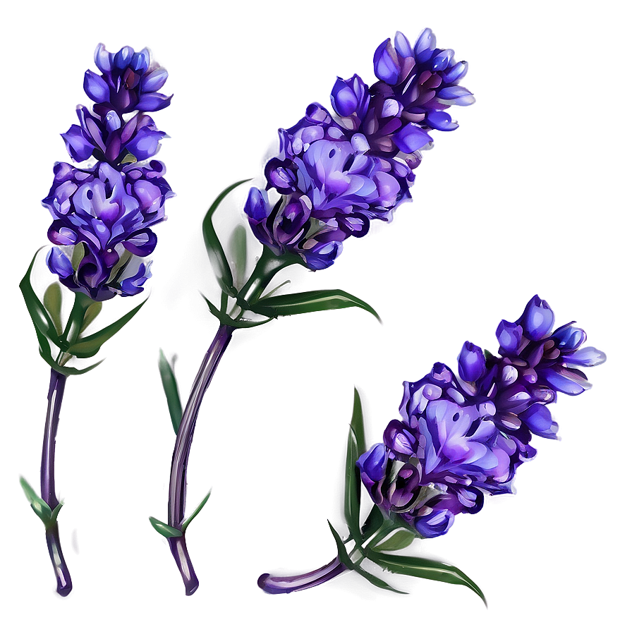 Delicate Lavender Petals Png Eoo PNG