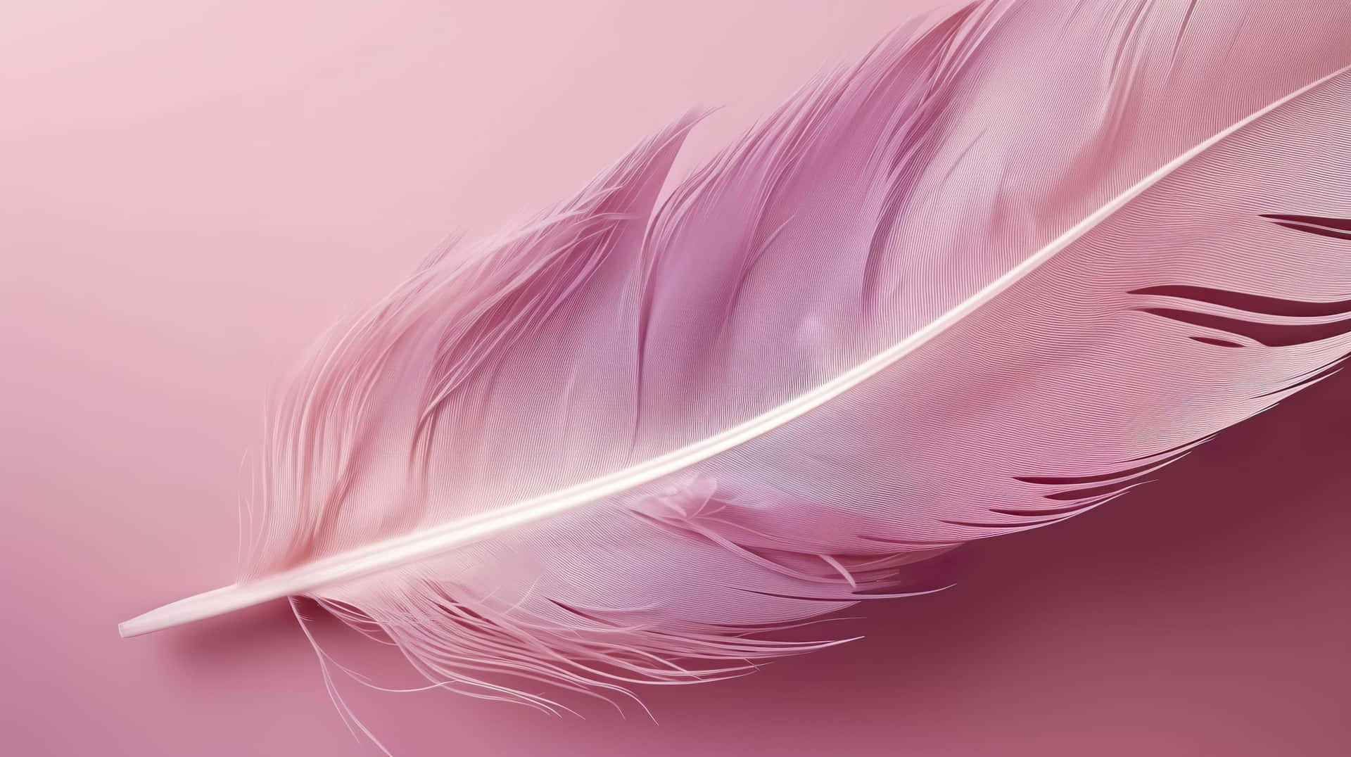Delicate Pink Feather Wallpaper