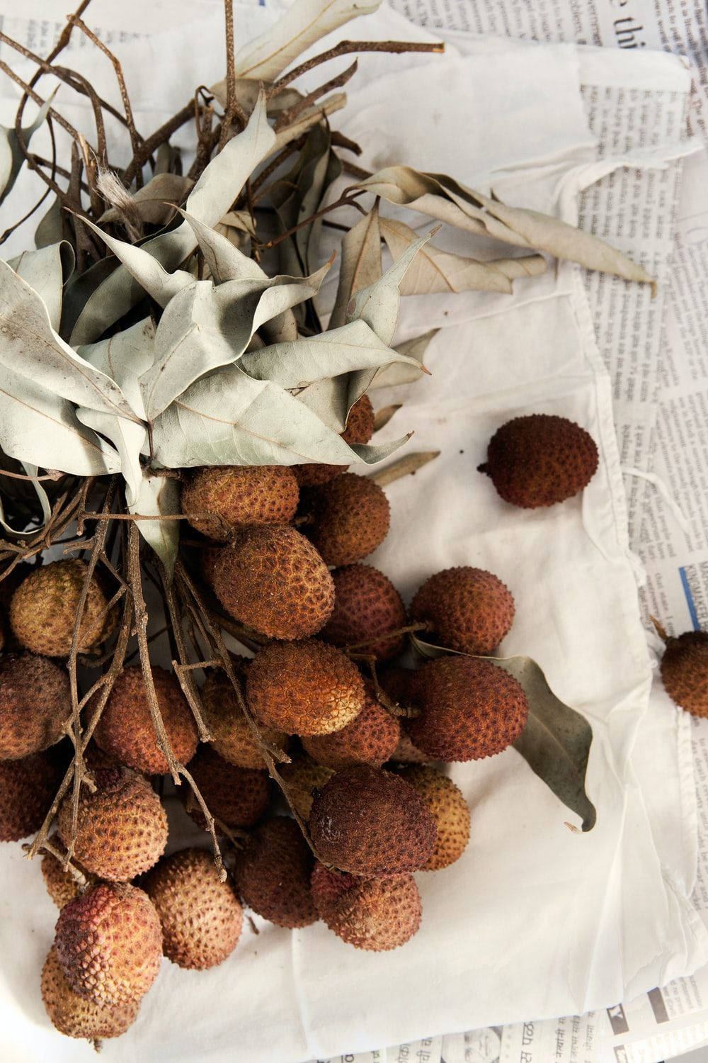 Delicious Dried Tropical Lychee Fruits Wallpaper