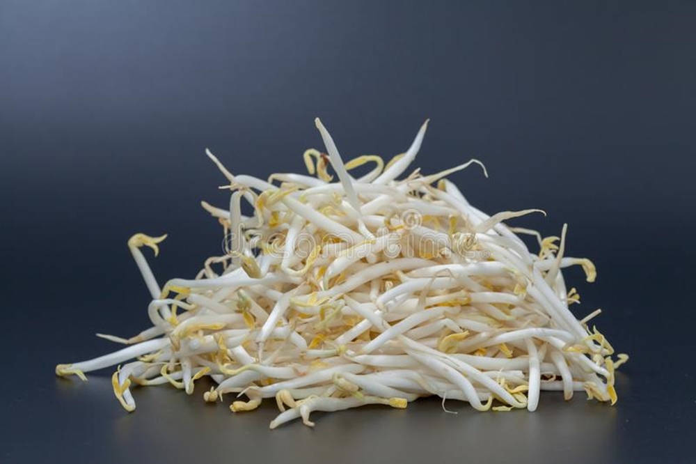 Delicious Mung Bean Sprouts Vegetable Wallpaper