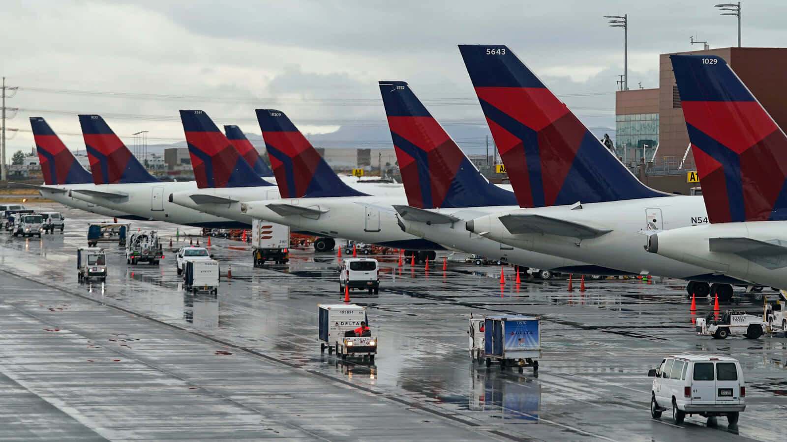 Delta Airline Tails Row Wet Tarmac Wallpaper
