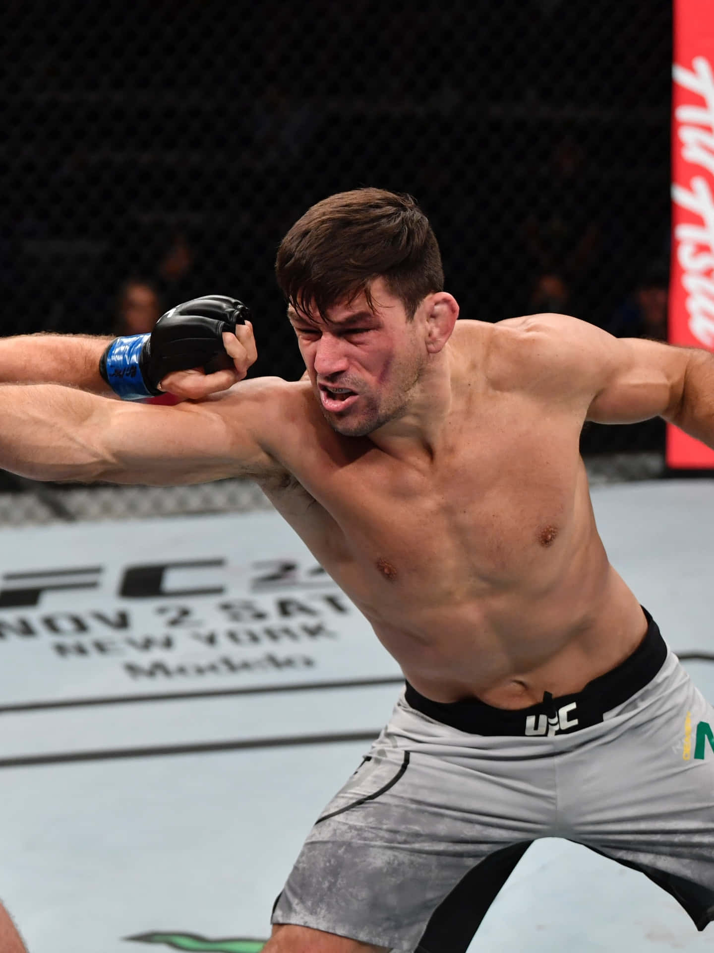 Demian Maia Brazilian Ufc Fighters Picture