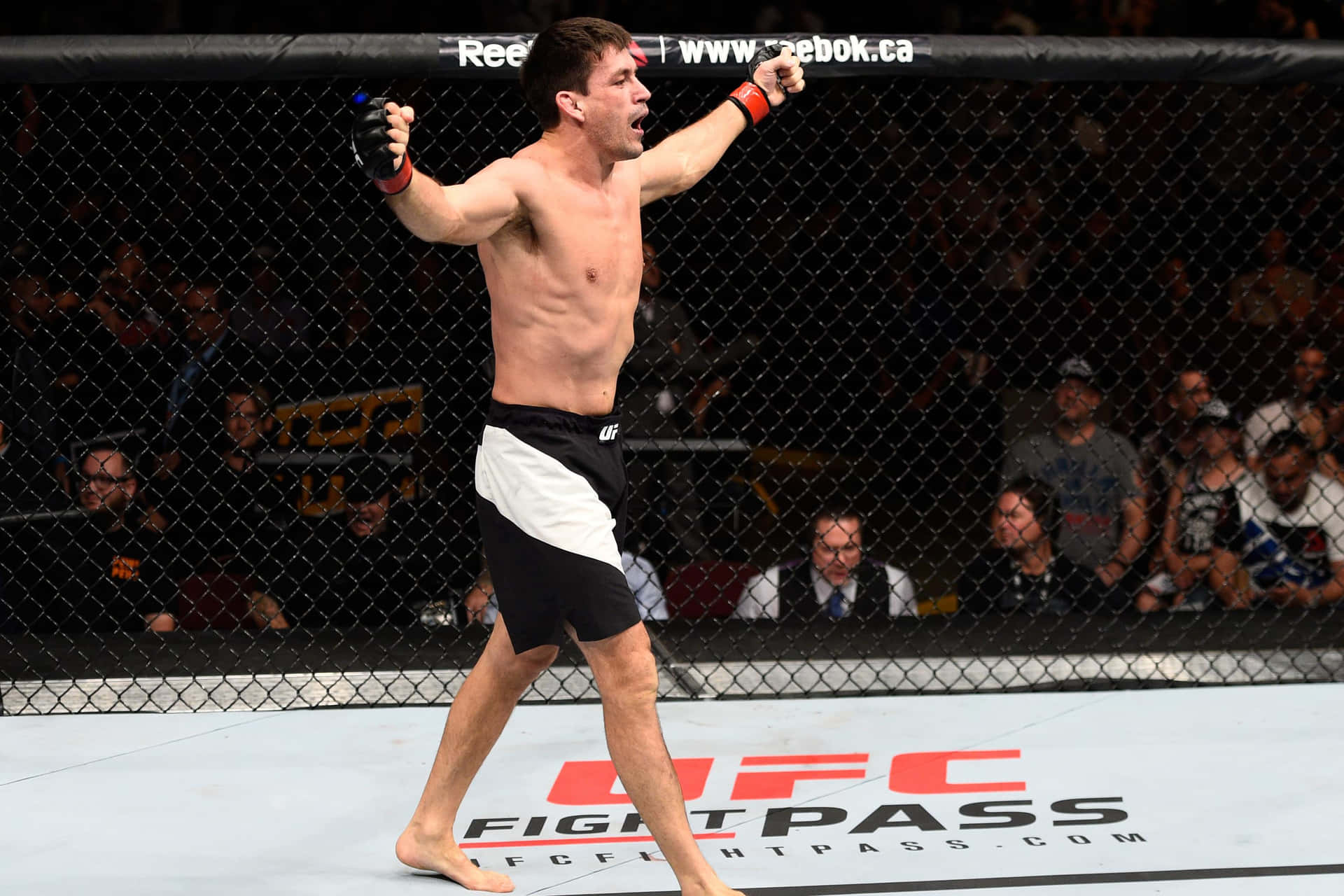 Demian Maia Octagon Fight Night Picture
