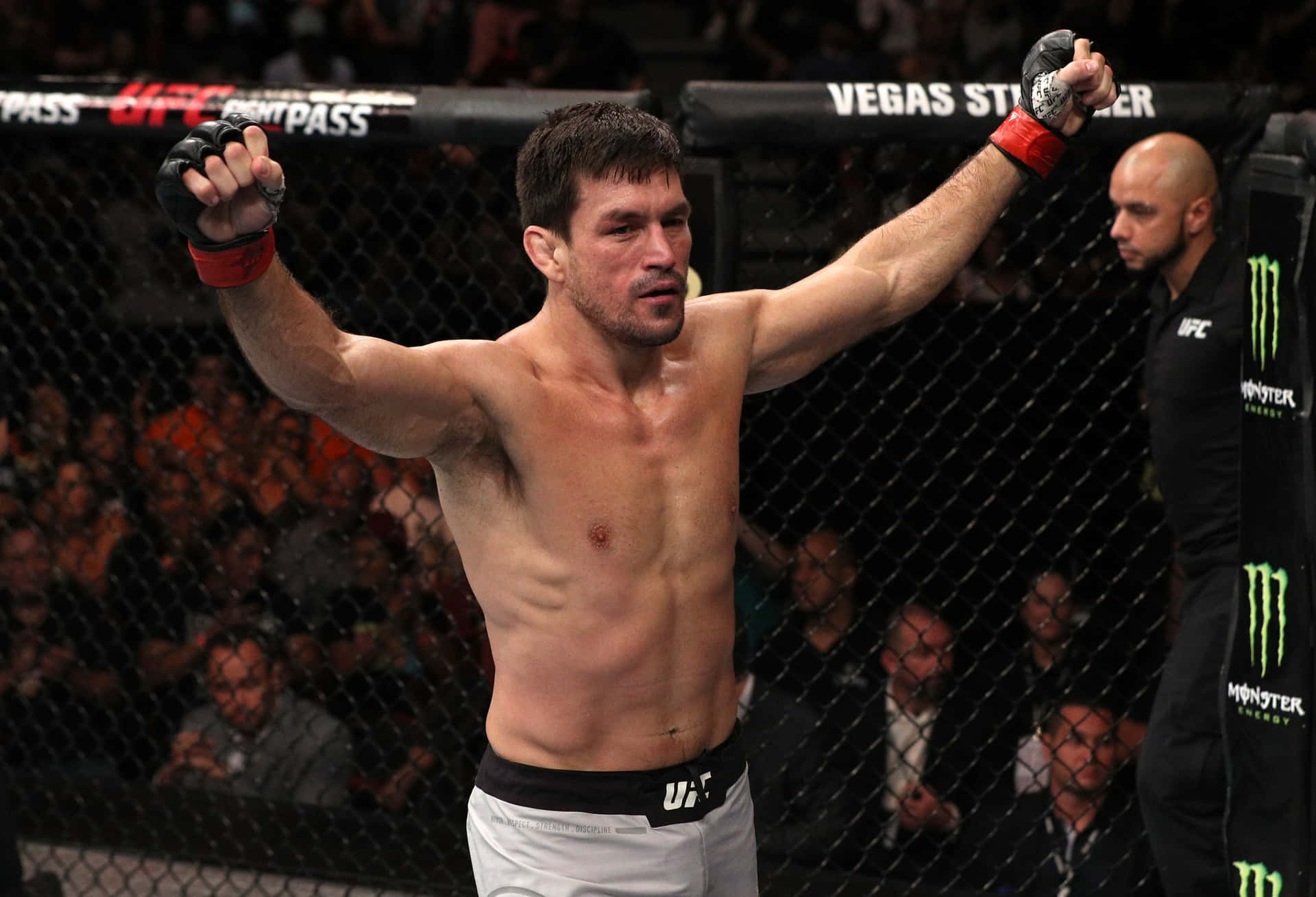 Demian Maia Ufc Fight Night Picture