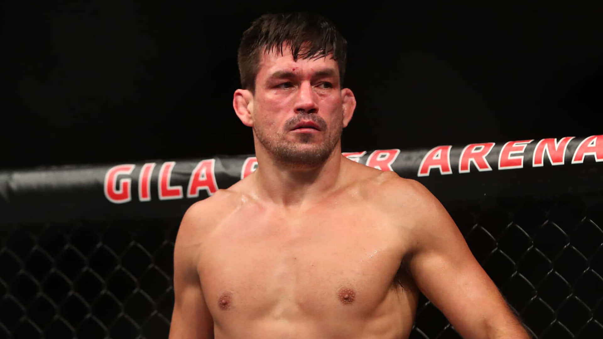 Demian Maia Ufc Fight Night Picture