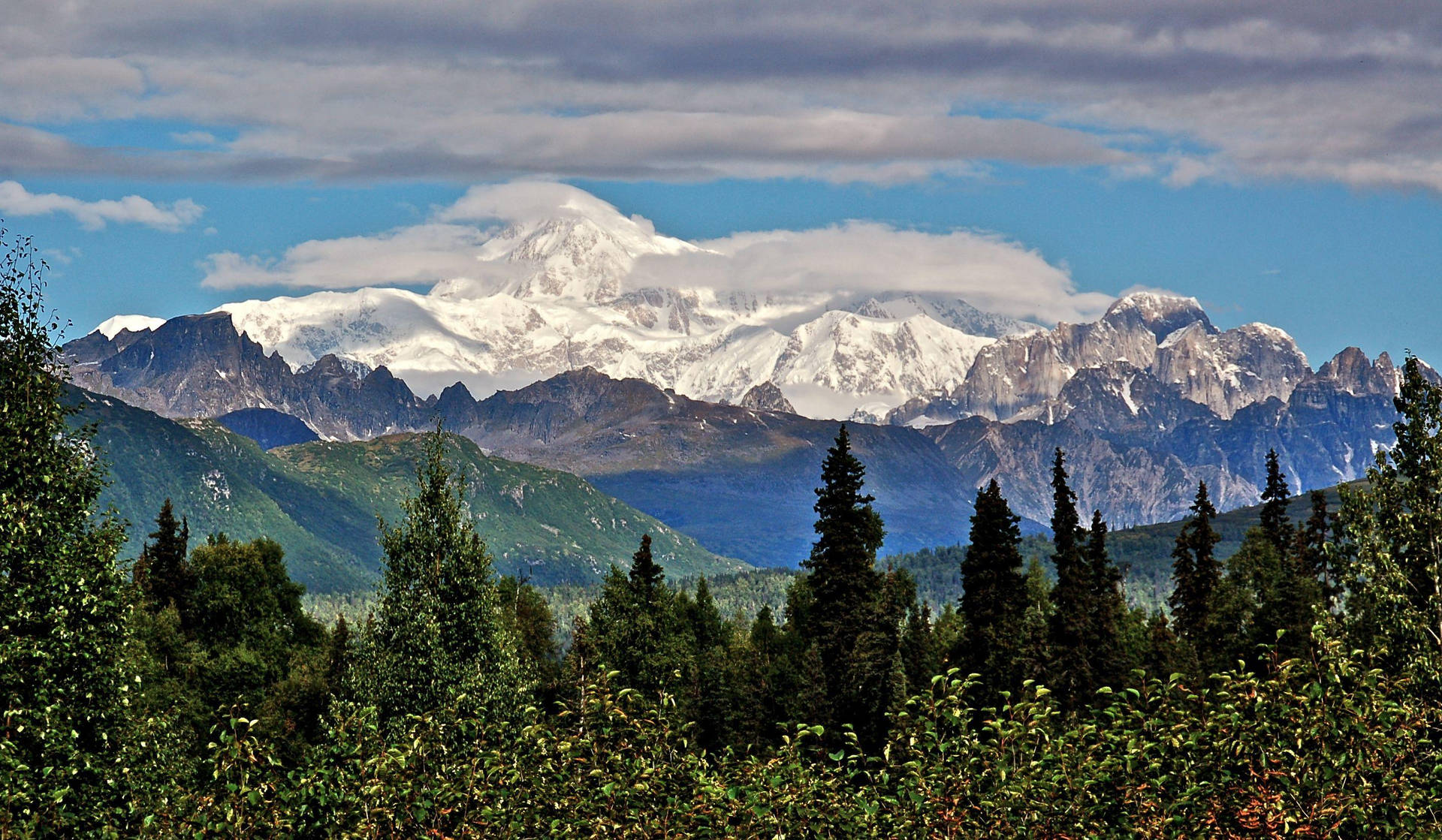 Denali With Green Forest Wallpaper