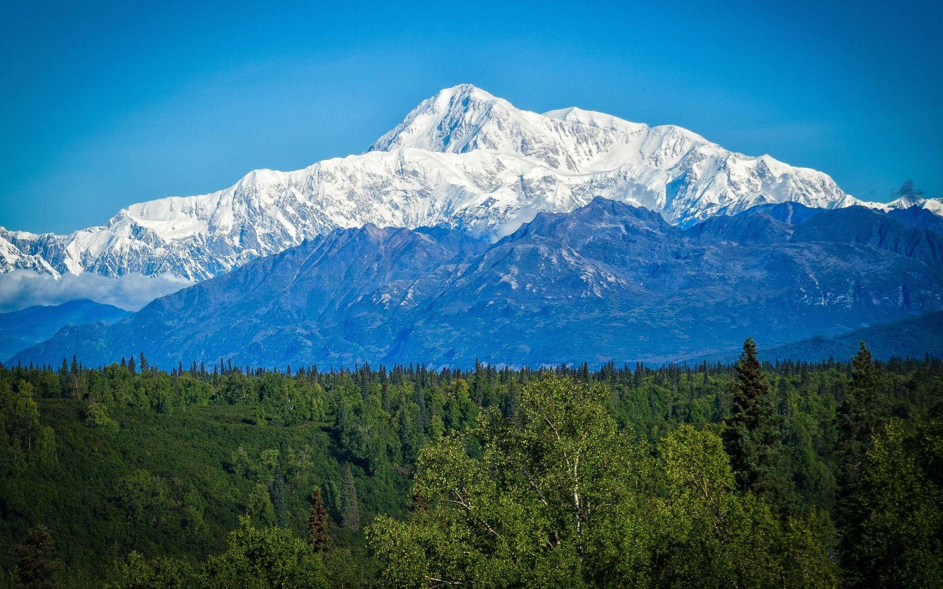 Denali With Vast Green Forest Wallpaper