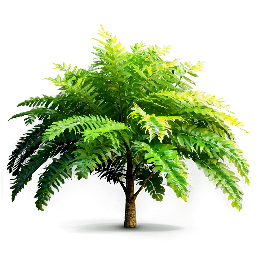 Dense Forest Bush Png Sdv PNG