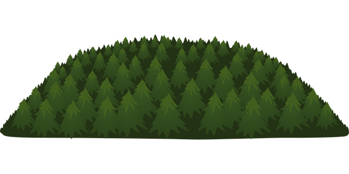 Dense Forest Silhouette PNG