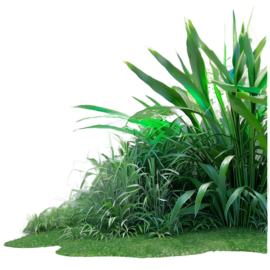 Dense Jungle Grass Png Pct PNG