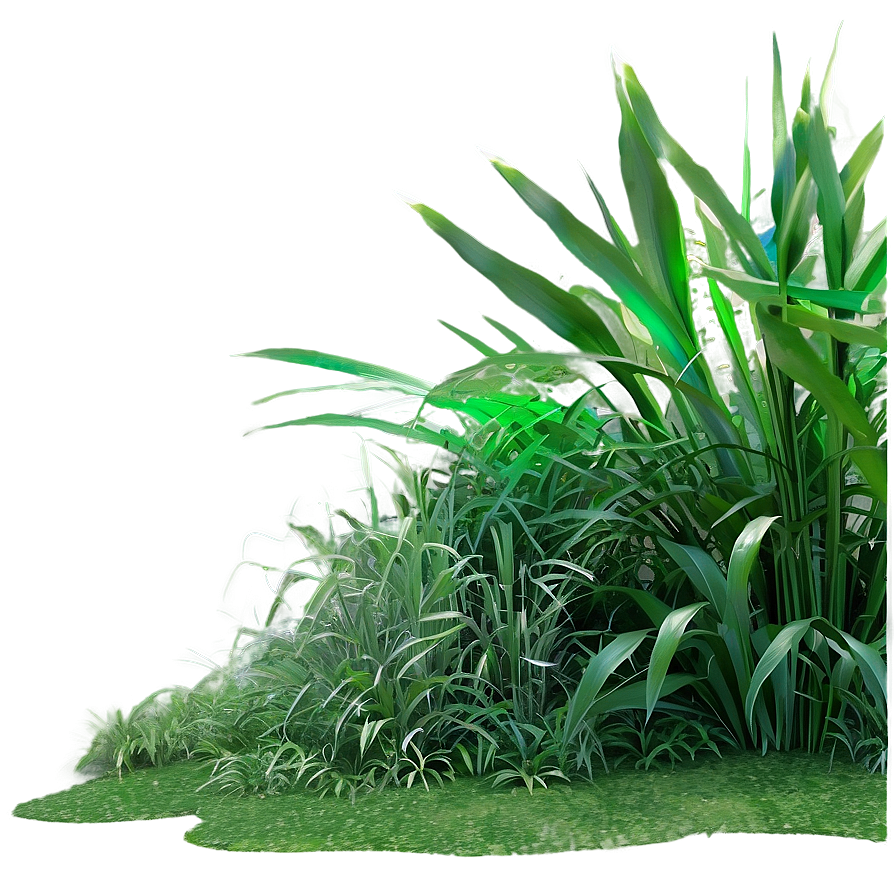 Download Dense Jungle Grass Png Pct | Wallpapers.com