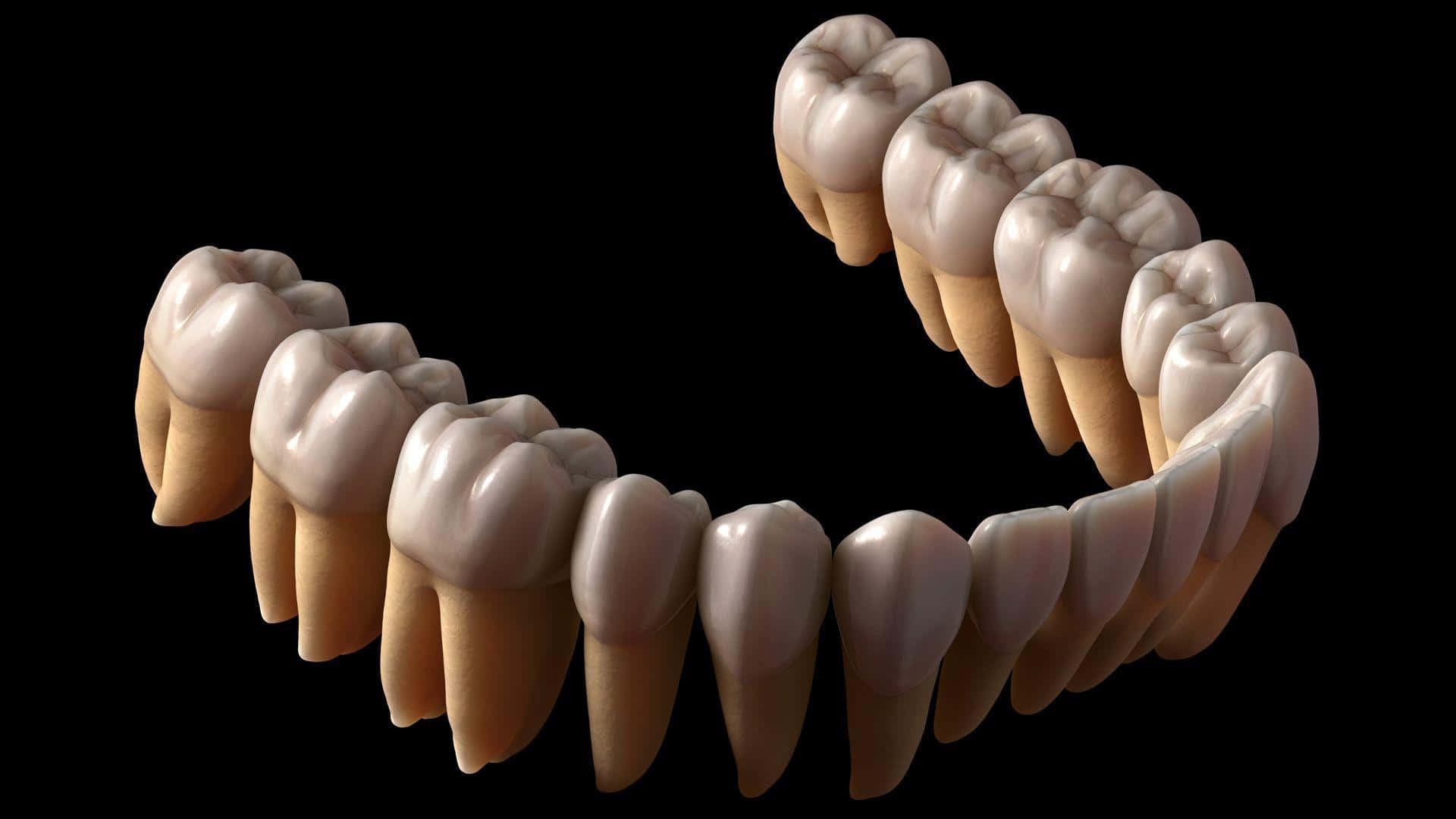 A 3d Model Of A Tooth With Teeth