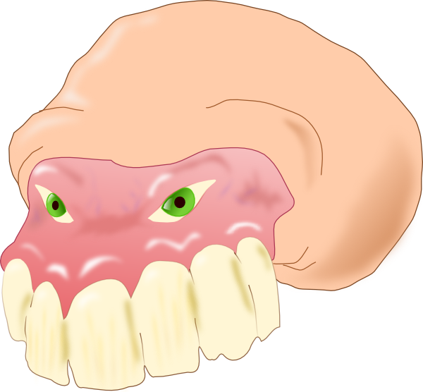 Dental_ Anatomy_ Illustration_ Upper_ Gums_and_ Teeth.png PNG