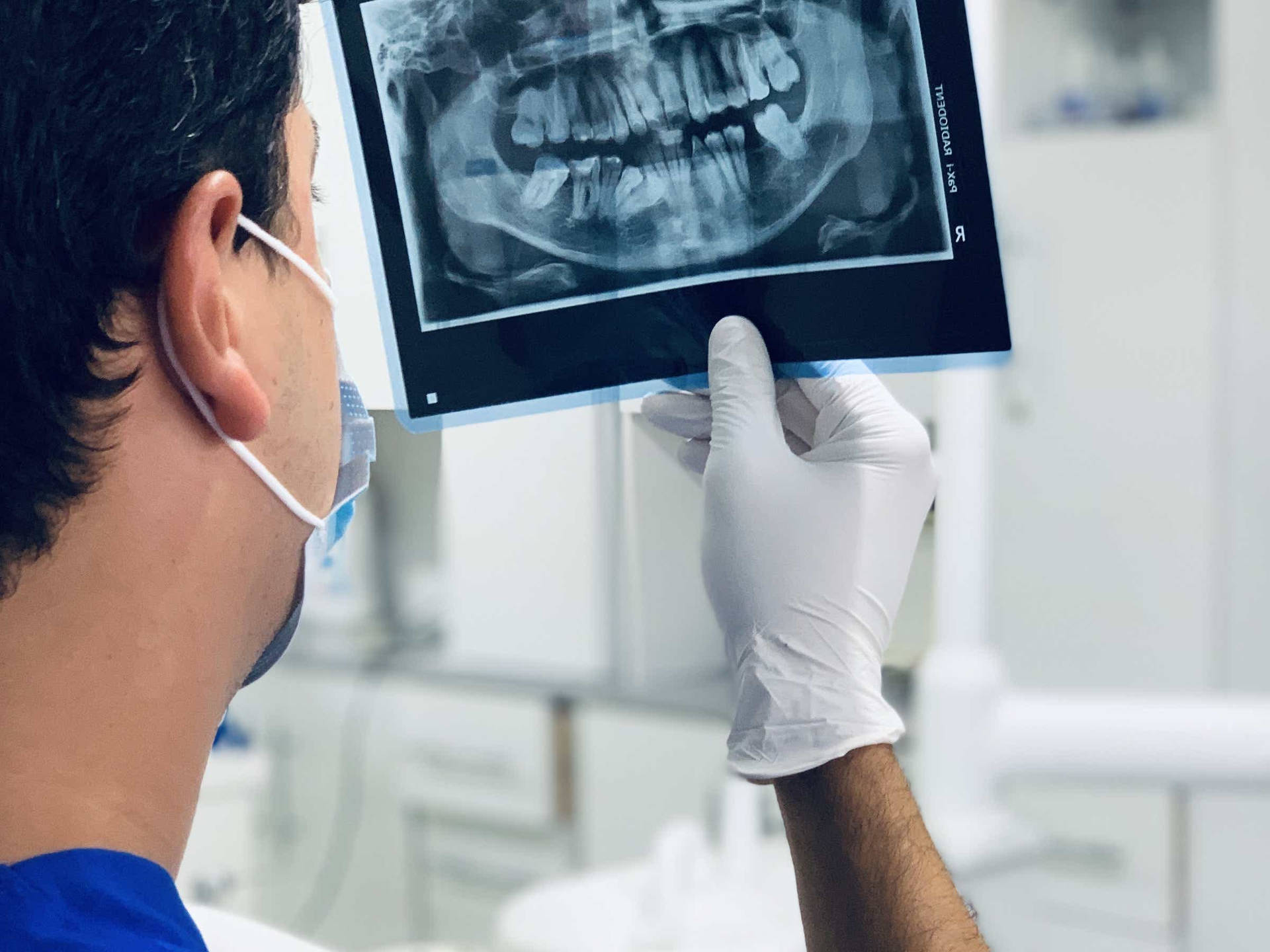 Dentistarevisando Una Radiografía Dental. Fondo de pantalla